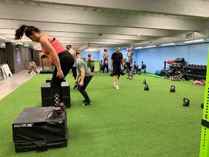 Lions Den Strength Mobility Performance