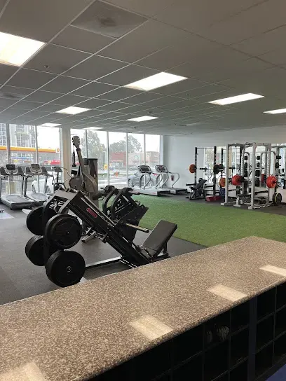 1 Body Strength and Conditioning LLC
