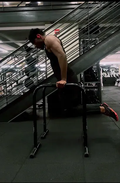 Maximum Athletic Fitness LLC